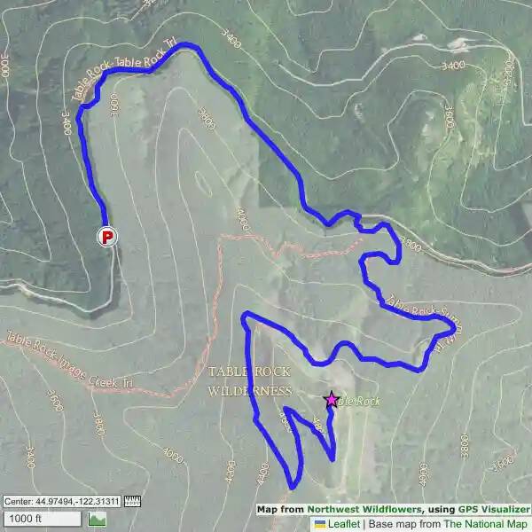 Table Rock, Oregon Northwest Wildflowers