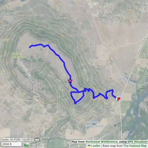 Upper Table Rock, Oregon Northwest Wildflowers