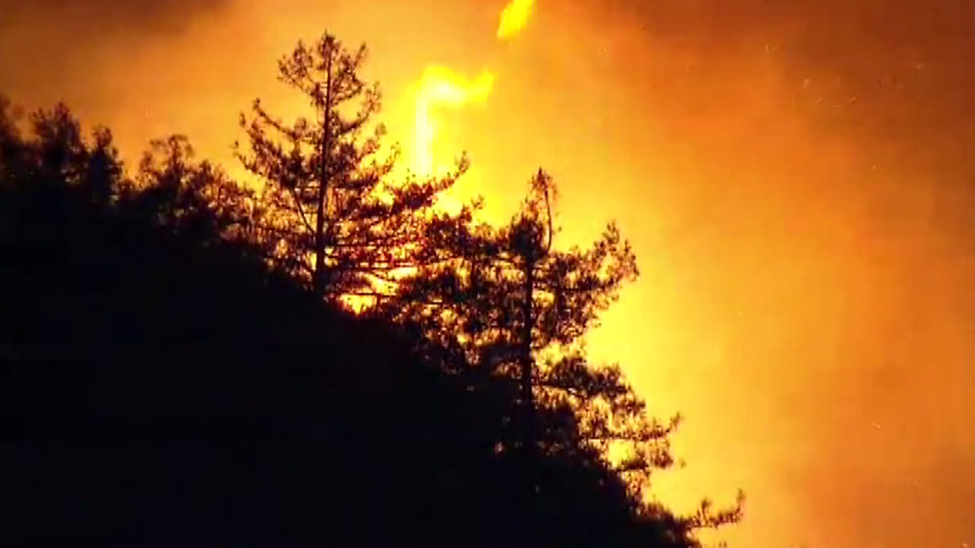 Wildfire in Big Sur Region Destroys 22 Structures FOX40