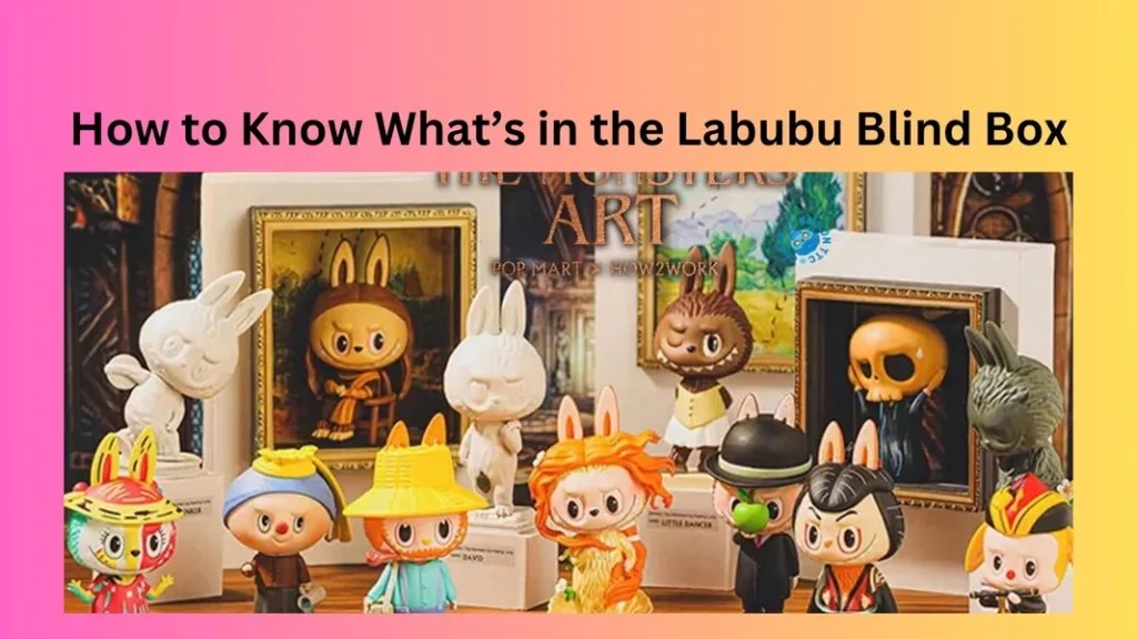 How to Know What’s in the Labubu Blind Box