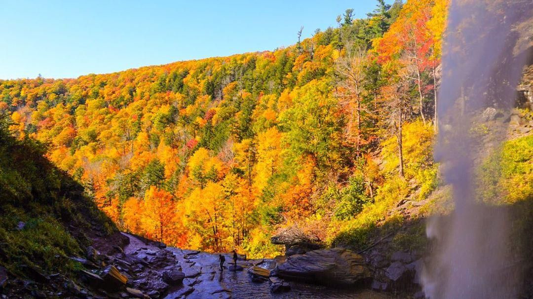 What makes for a great fall foliage season?