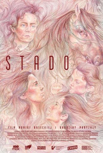 Stado