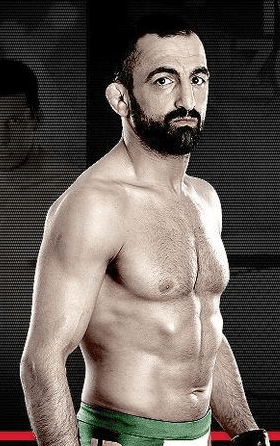 Reza Madadi – en fighters resa