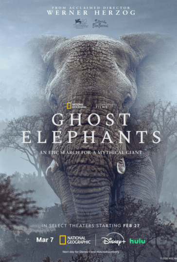Ghost Elephants