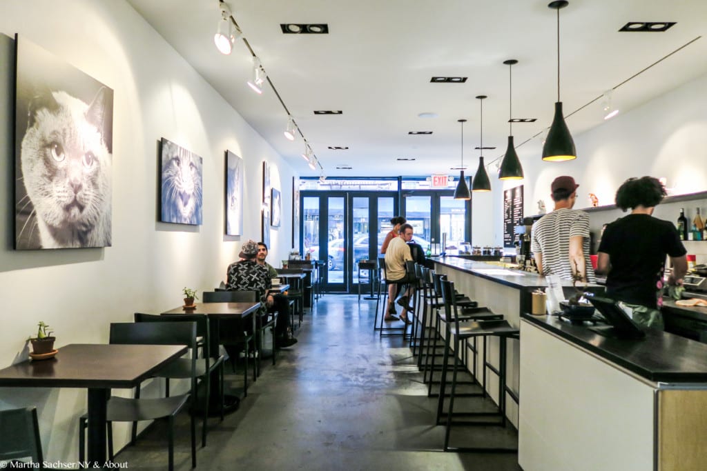 Coffee, cats and love my experience at Koneko Cat Cafe Ny & About