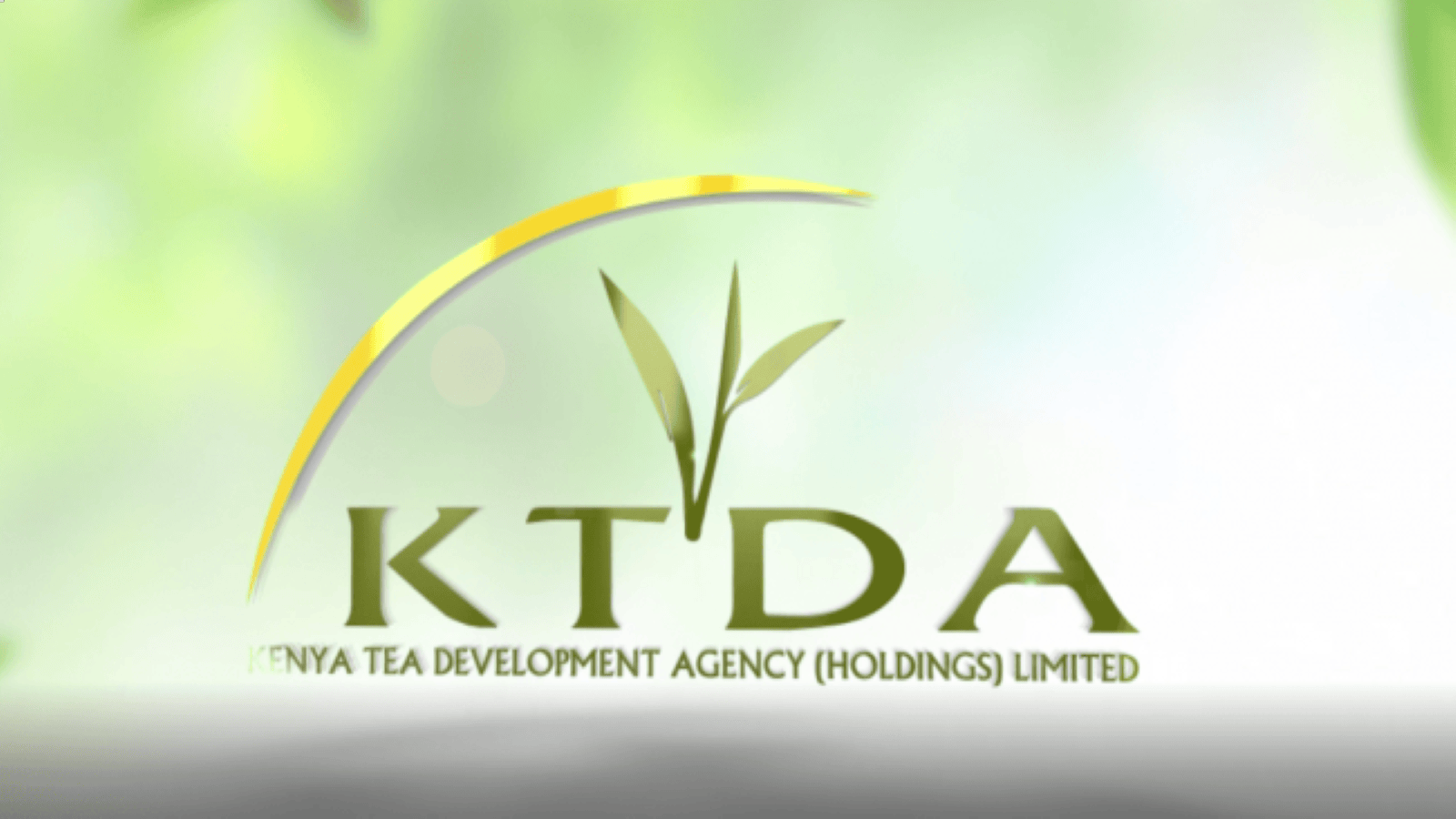 The Kenya Tea Development Agency (KTDA) Records Higher Dividends This