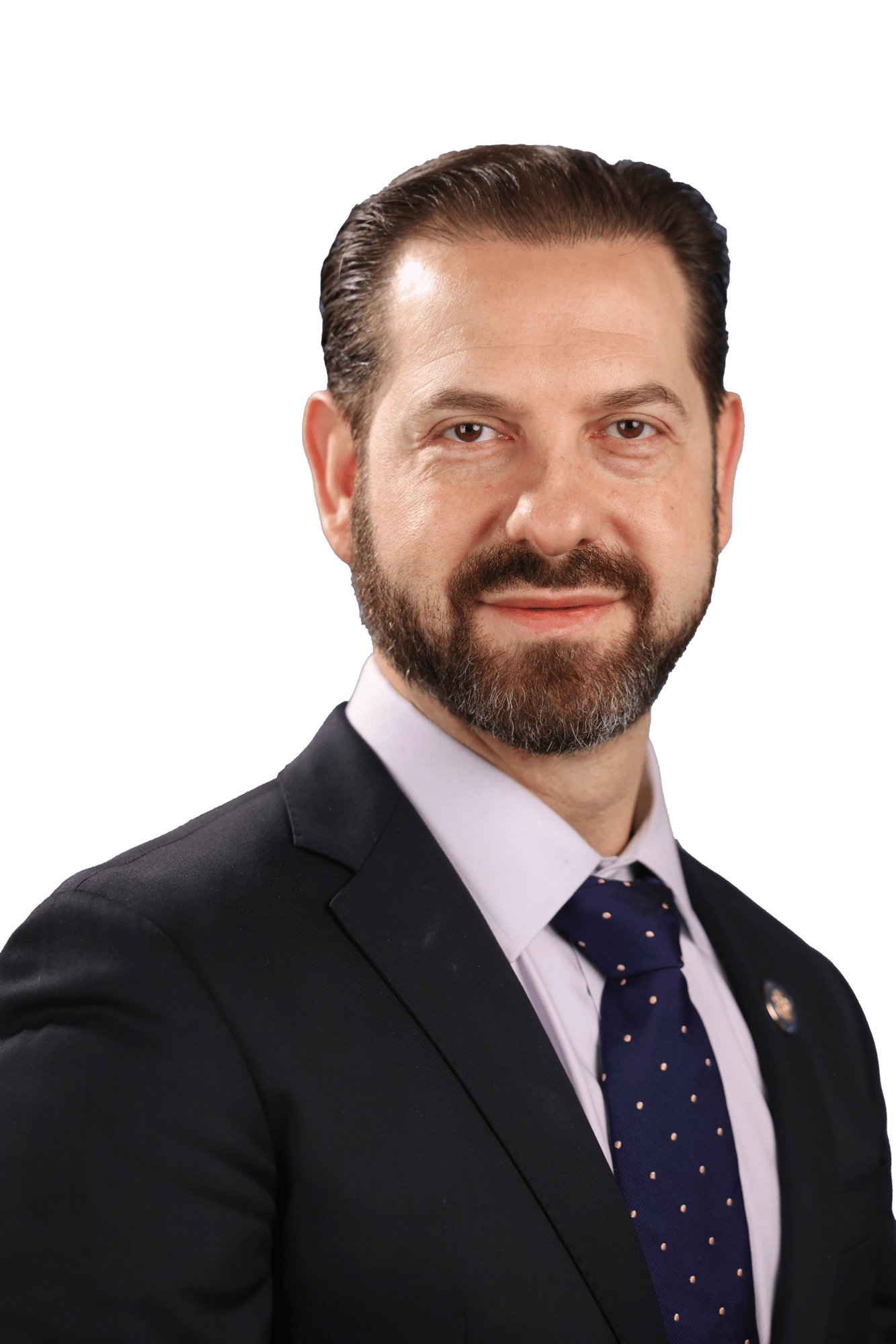 Gina L. Sillitti Assembly District 16 Assembly Member Directory