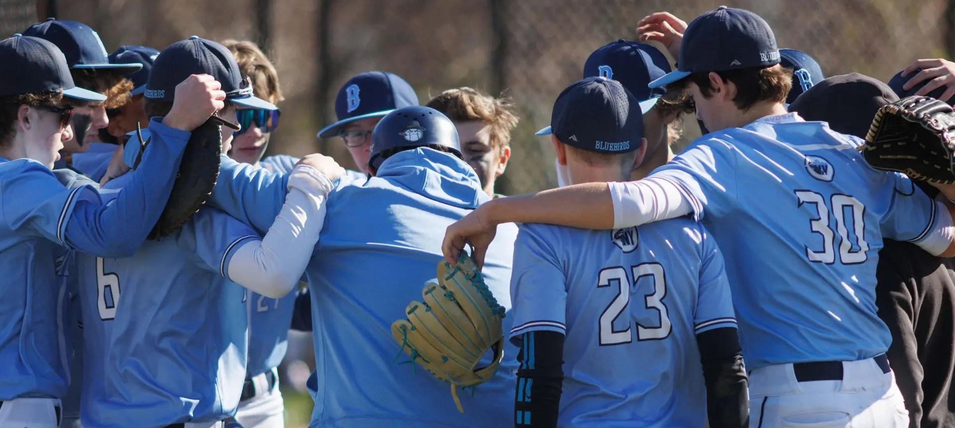 NY Blue Birds Baseball Baseball and Softball Coaching