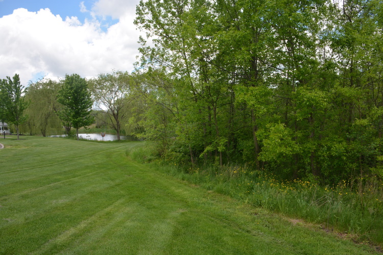 Glenwillow Village Trail Cuyahoga, Ohio, US Birding Hotspots