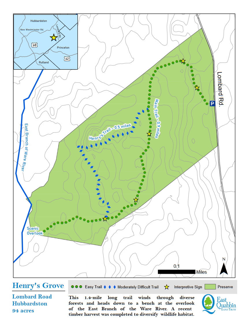 Henry's Grove (East Quabbin Land Trust), Hubbardston Worcester, Massachusetts, US Birding