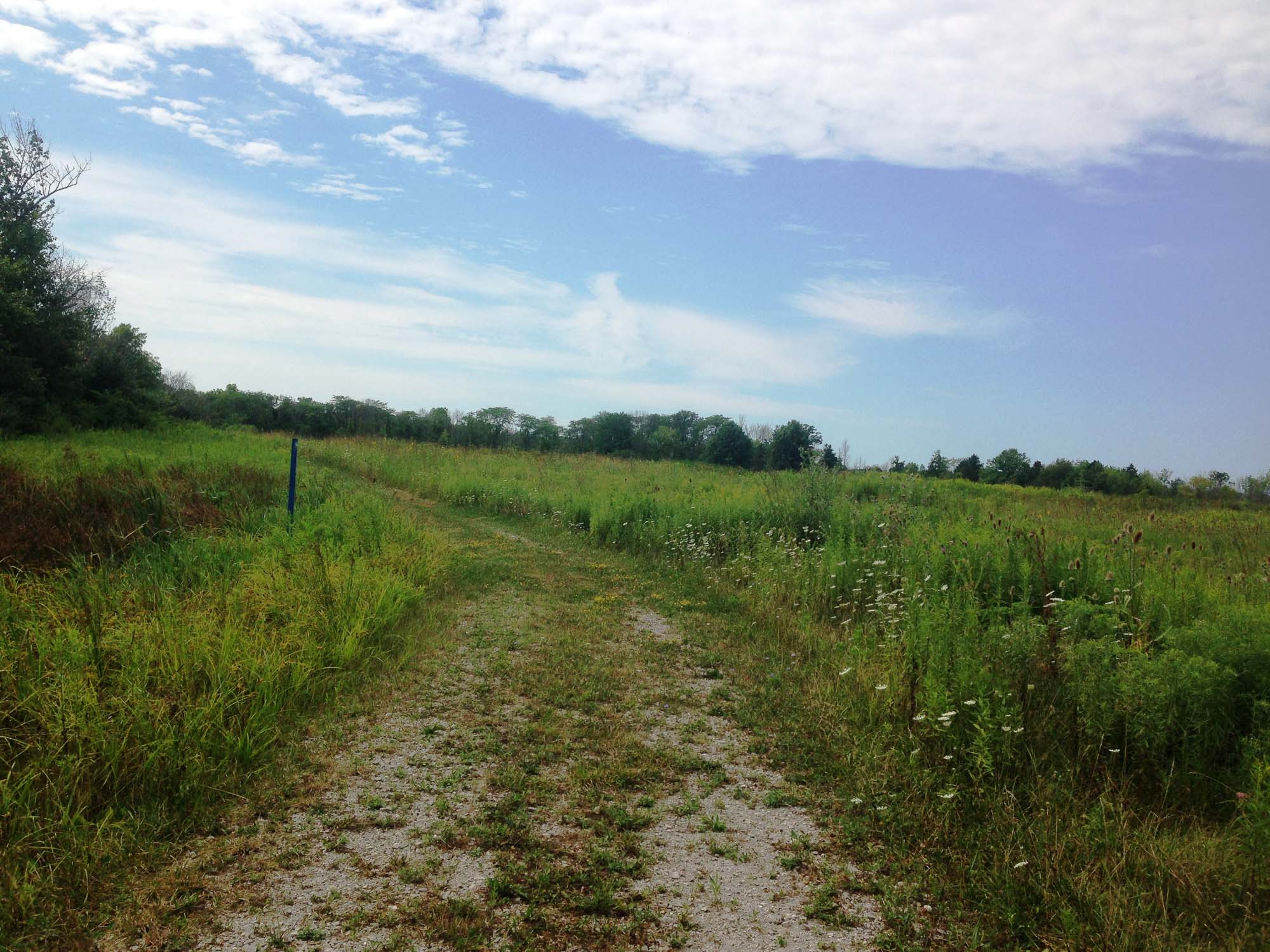 Letha House ParkGreat Horned Owl Bridle Trail Medina, Ohio, US