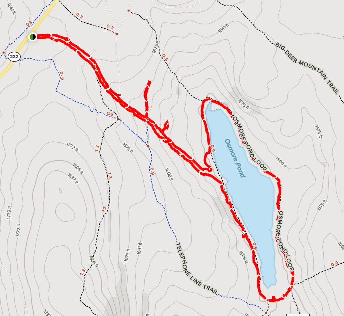 Osmore Pond Peacham (48 acres) Caledonia, Vermont, US Birding