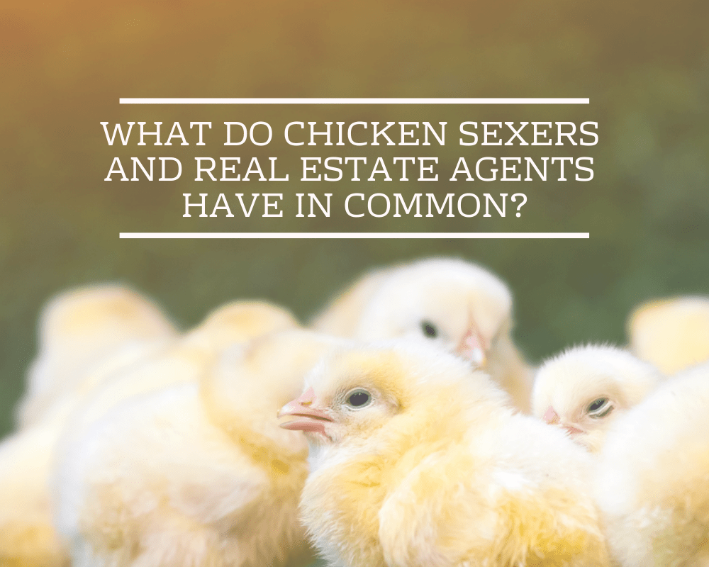 What Do Chicken Sexers and Real Estate Agents Have in Common? Dawn