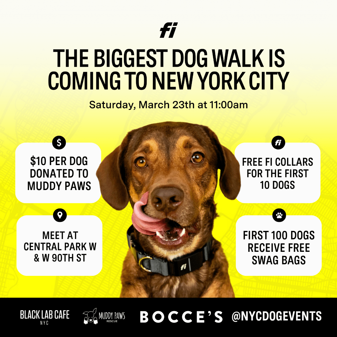 The Biggest Dog Walk is Coming To New York City NYC Dog Events
