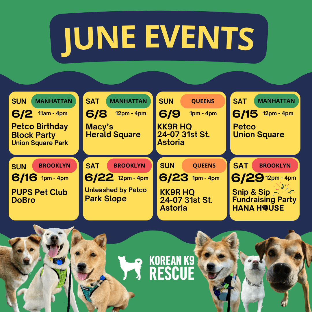 NYC Dog Events NYC Dog Events