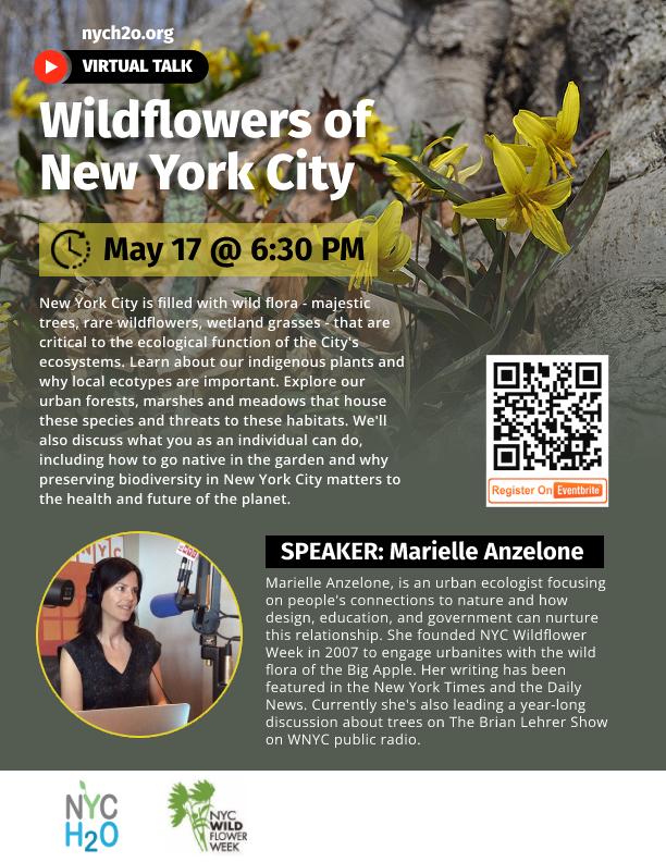 Wildflowers of New York City NYCH2O