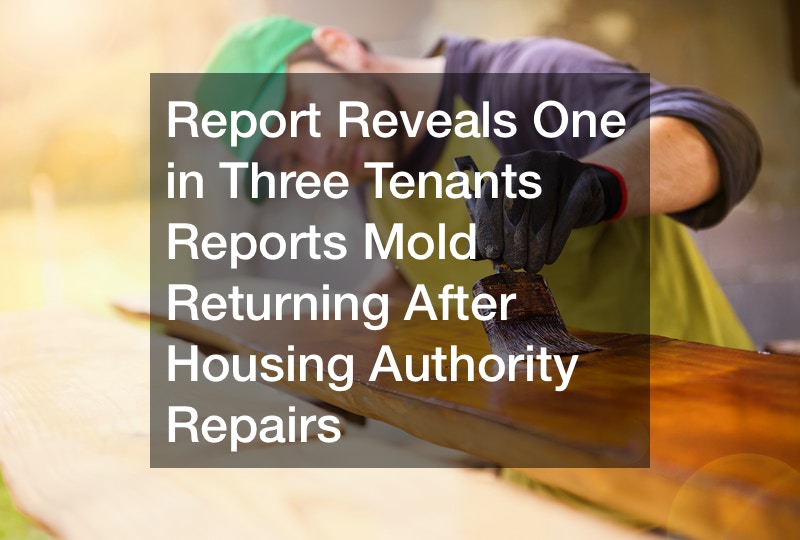 Report Reveals One in Three Tenants Reports Mold Returning After