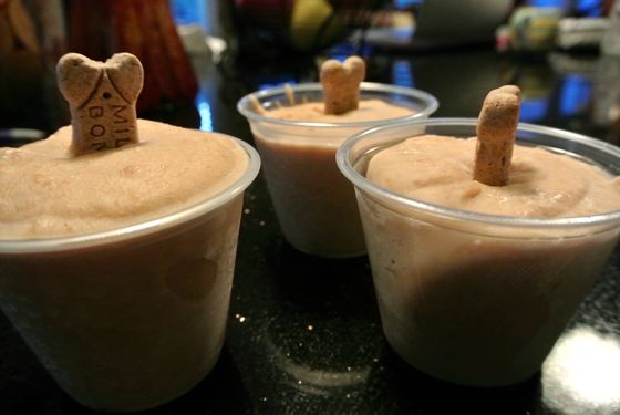 Peanut Butter, Banana and Yogurt Popsicle Recipe For Your Pooch