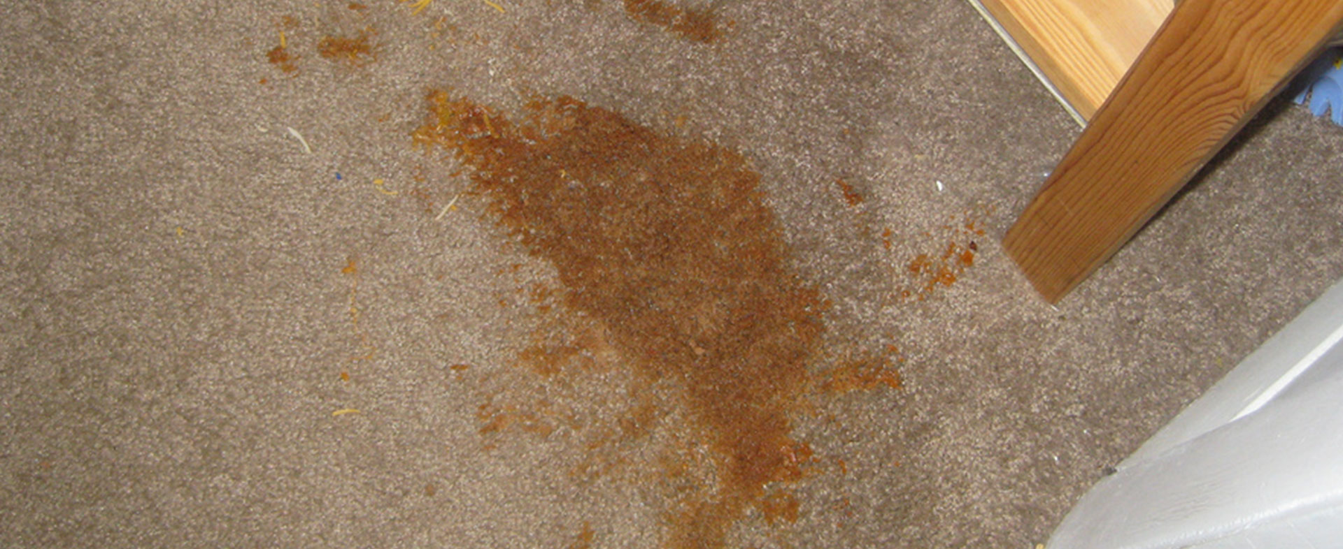 Bleach Stains On Carpet