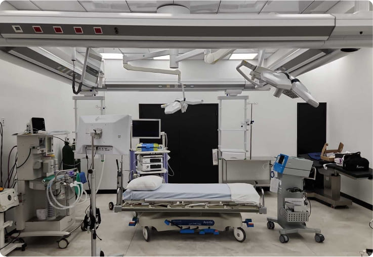 Scheer Medical Wellness Stem Cell Therapy Scheer Medical Wellness