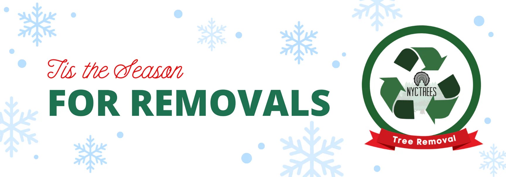 NYC Trees Christmas Tree Delivery NYC TREES