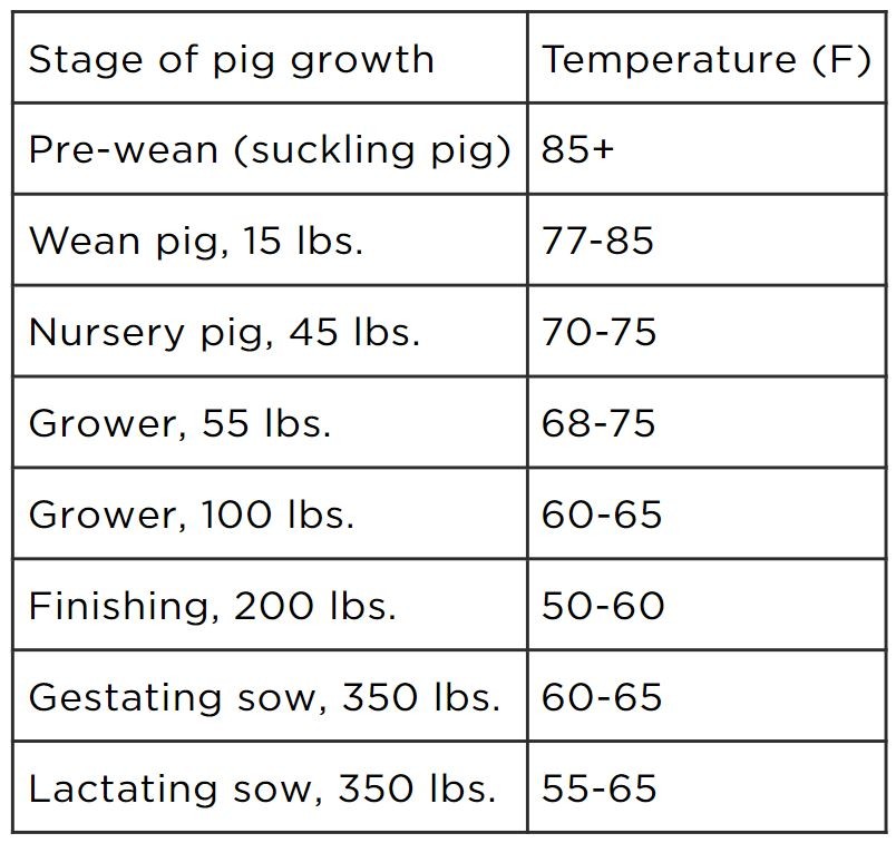 Cold Temperature Management for Pigs Southwest New York Dairy