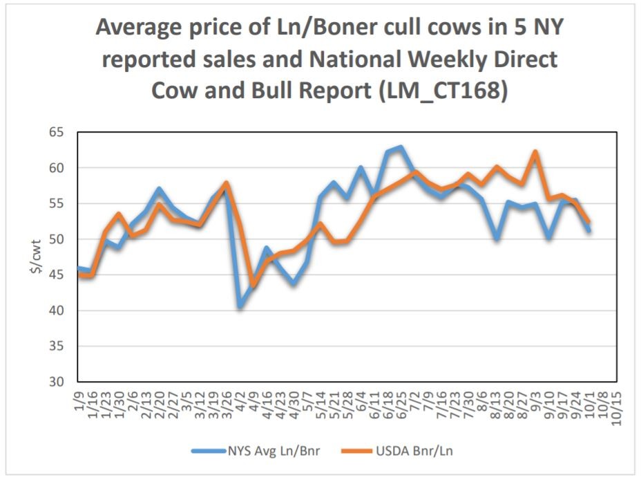 Usda Feeder Cattle Market Report Home Dekors