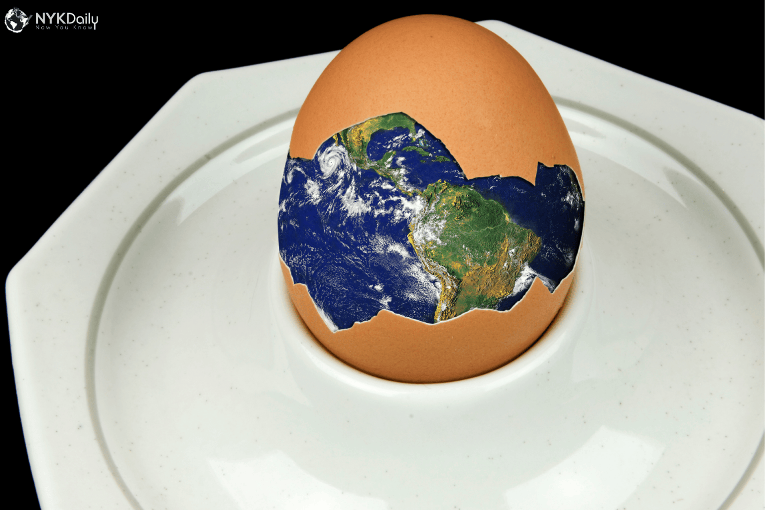 World Egg Day Importance of Eggs and Immunity During Pandemic NYK Daily