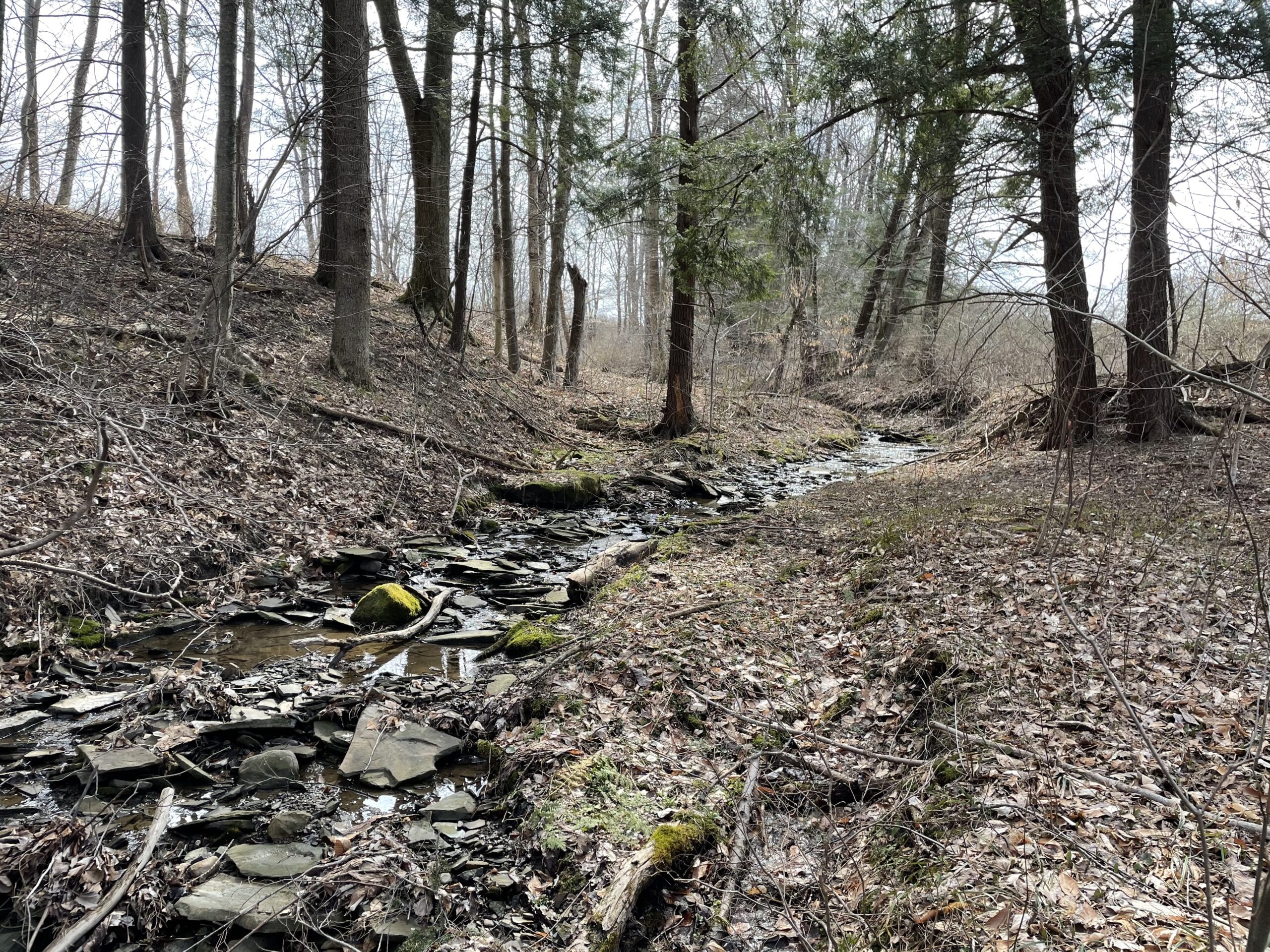 New York Land Quest 45 acres Hunting and Recreational Land in Clymer