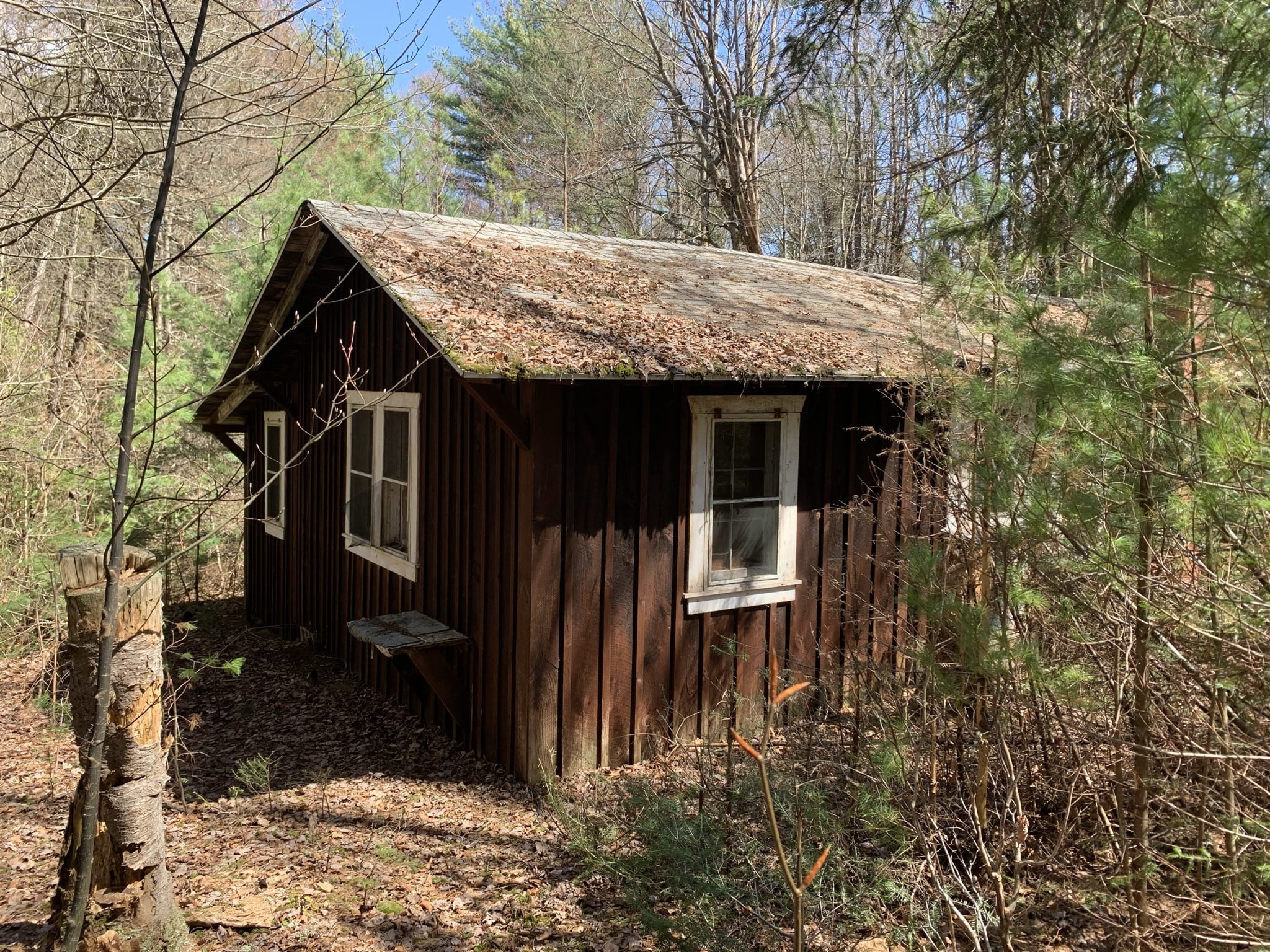 New York Land Quest 57 acres Secluded Cabin in the Adirondack Park in