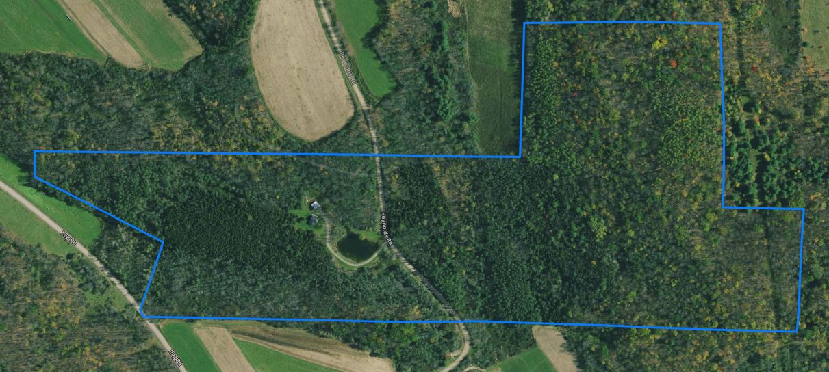 New York Land Quest 86 acres Country Retreat with Home, Pole Barn and