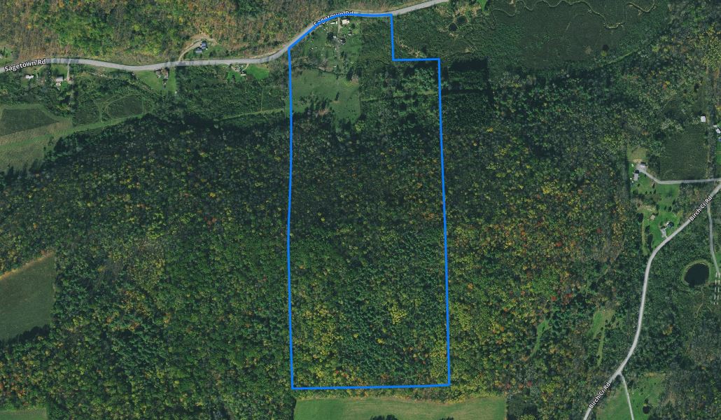 New York Land Quest 80 acres Farmhouse and Timberland in Pine City NY