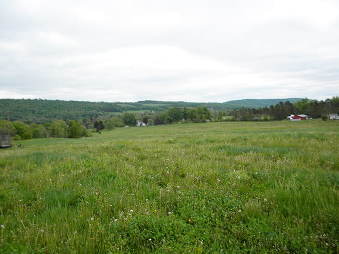 Country Acreage near State Forest in Chenango County NY NY LandQuest
