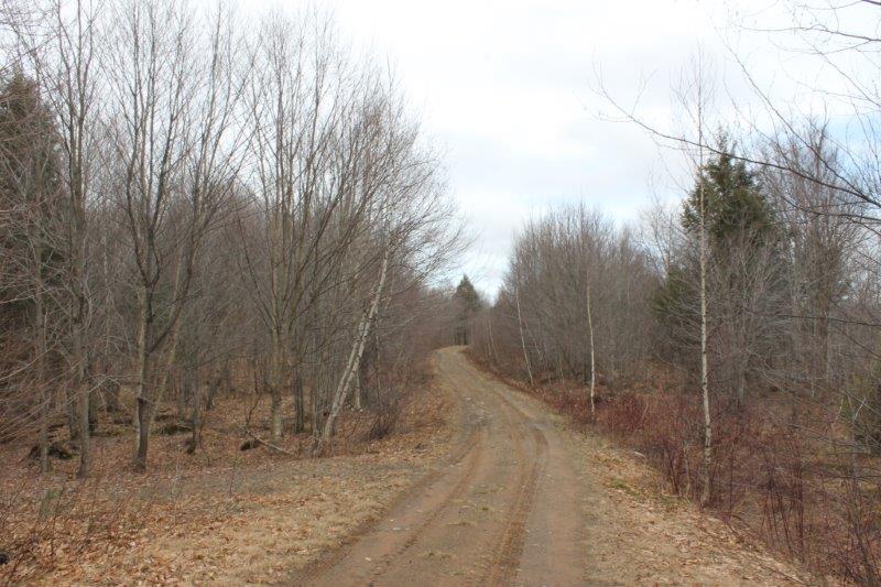 Land in Annsville NY near Fish Creek Reservoir and State Land NY