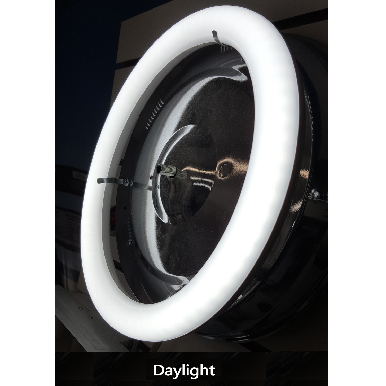 9 Inch Daylight 6000K Circline T9 LED Relamp Fluorescent Bulb FC9T9