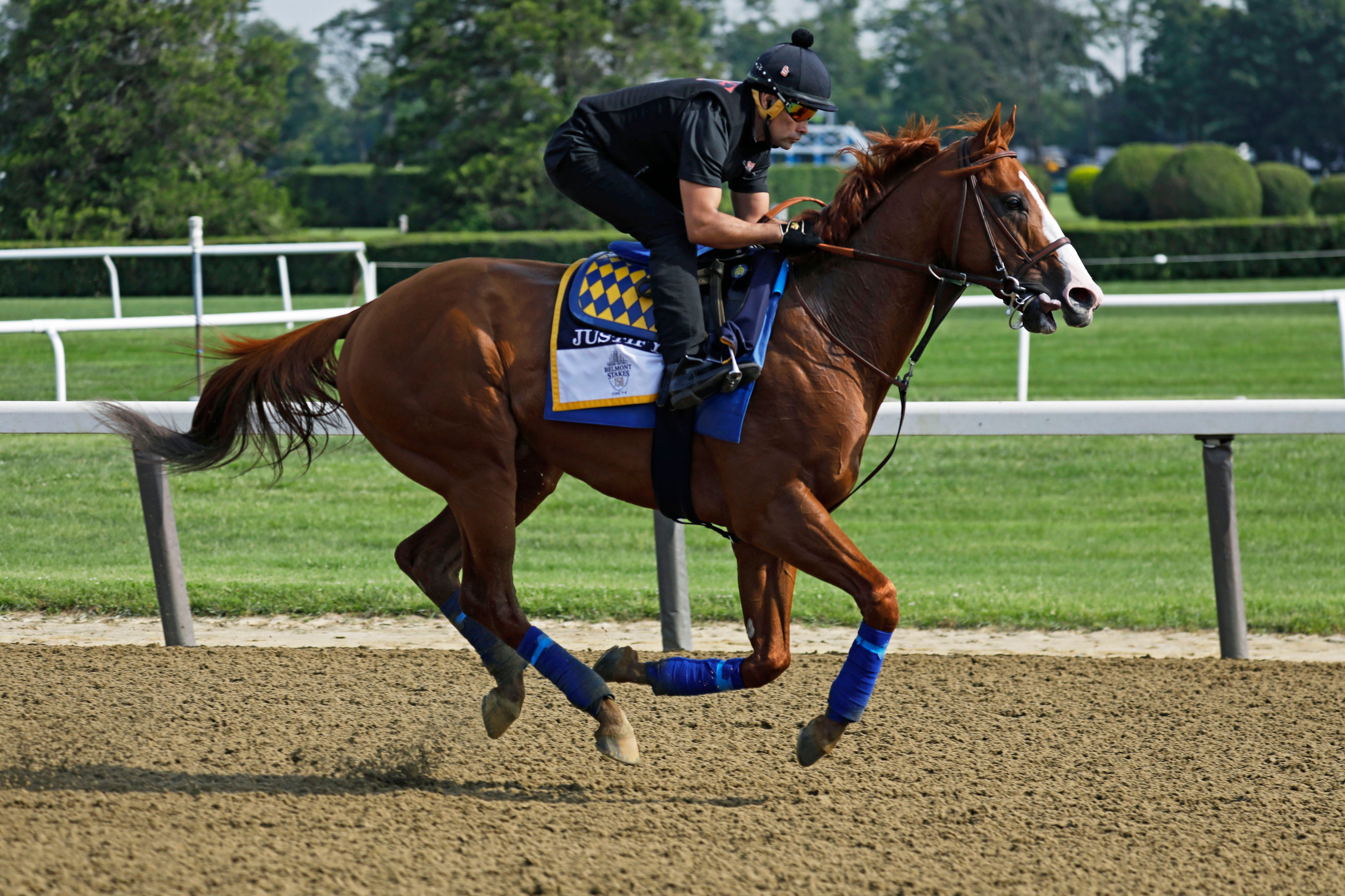 The horses gunning to derail Justify at Belmont Stakes