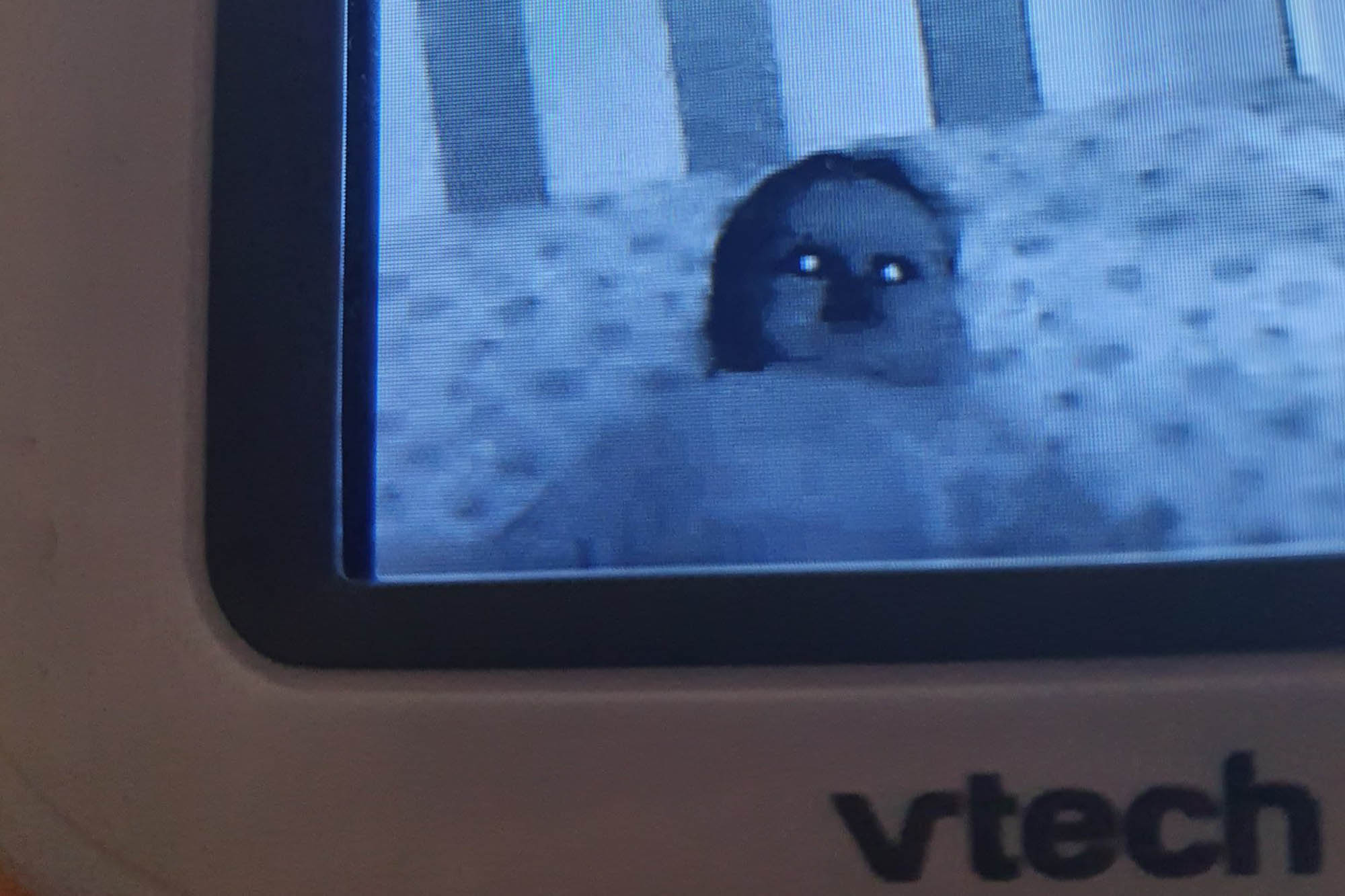 ‘Demonic’ photo from baby monitor goes viral