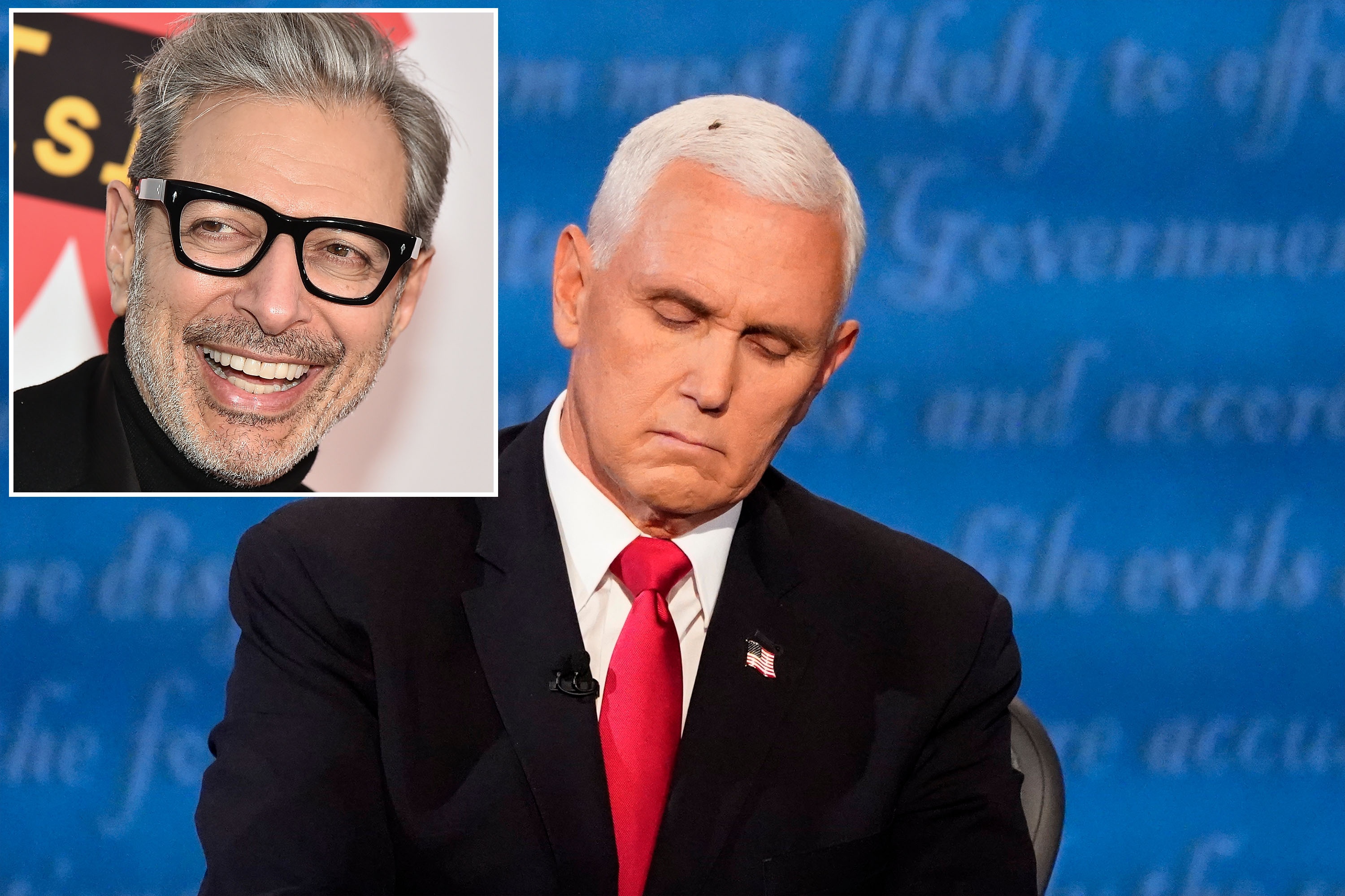 Twitter wants Jeff Goldblum to be 'The Fly' on 'SNL'