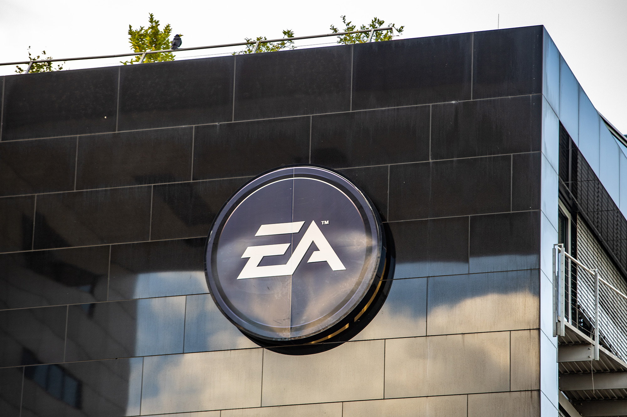 EA Sports rebooting NCAA football game