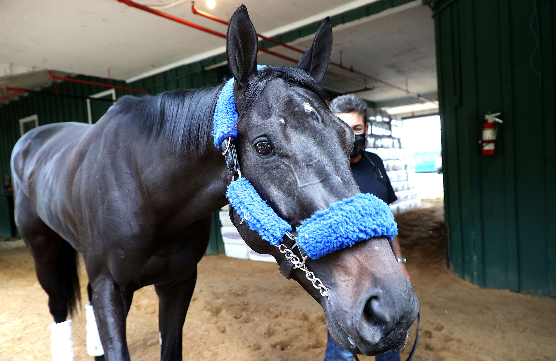 Preakness Stakes draw Medina Spirit's post, odds in scandal