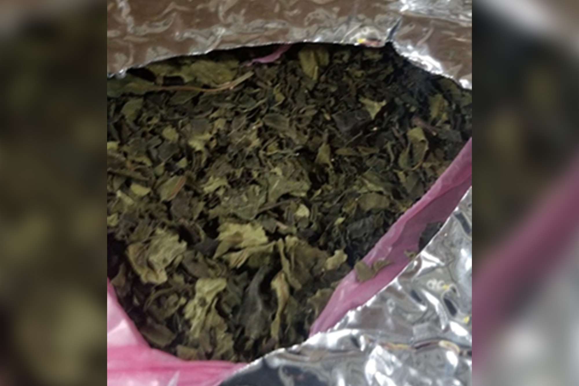 Nearly 7 tons of stimulant drug khat seized at NJ terminal officials