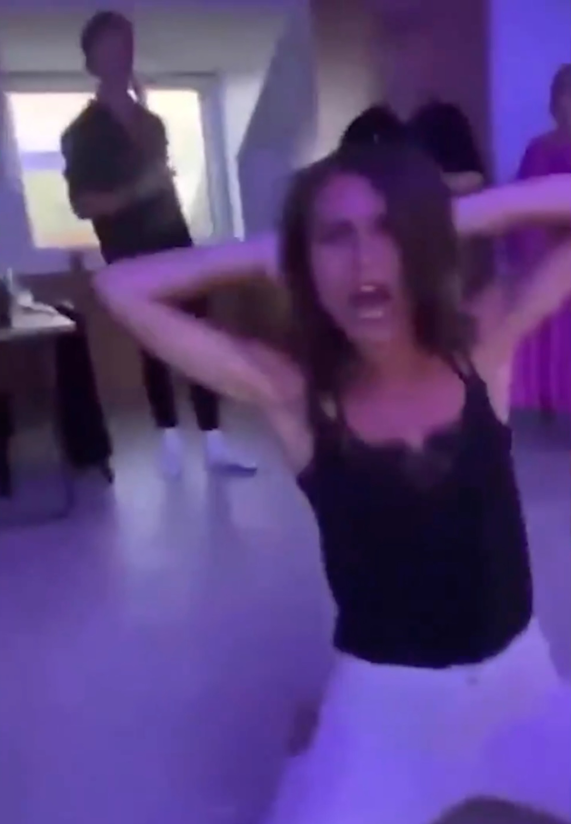 Leaked videos show Finnish PM Sanna Marin partying