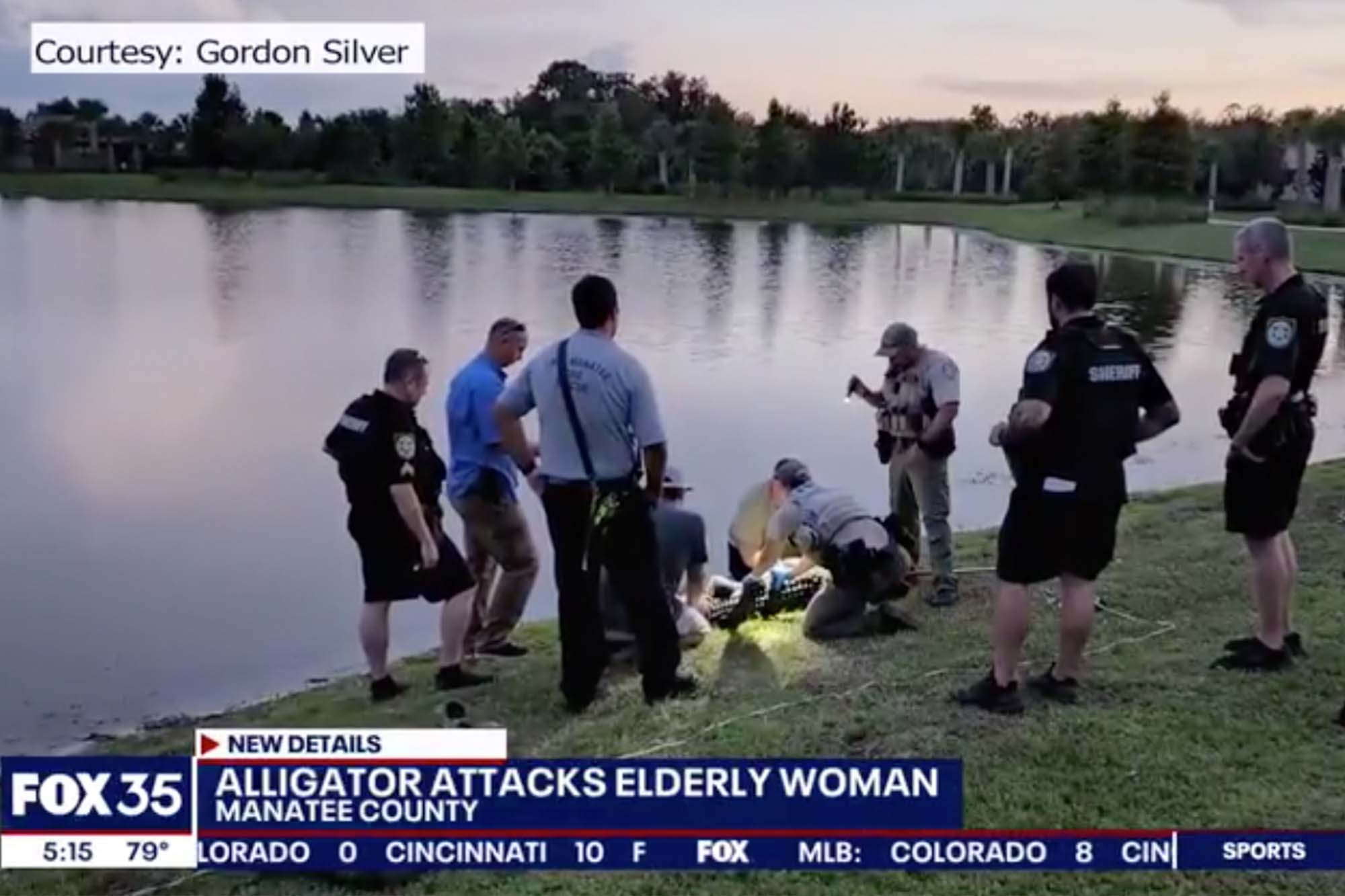 77yearold Florida woman attacked by alligator