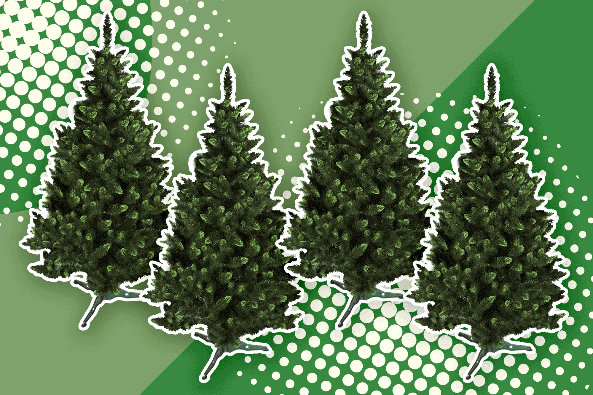 Types Of Christmas Trees Spruce