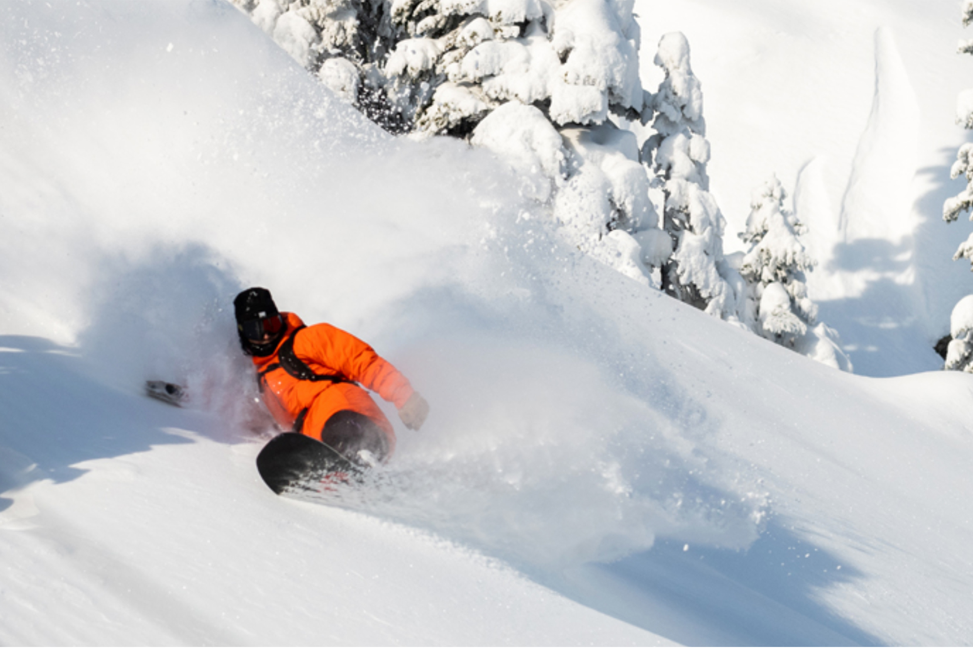 The 10 best snowboard brands of 2023, per experts