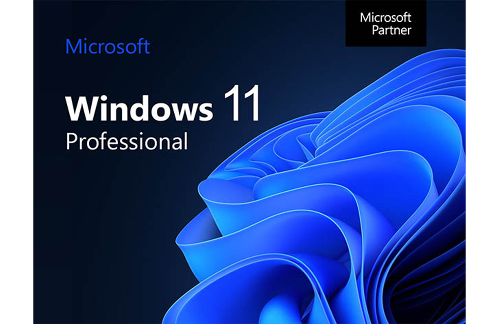 The AllinOne Microsoft Office Pro Bundle is 87 off