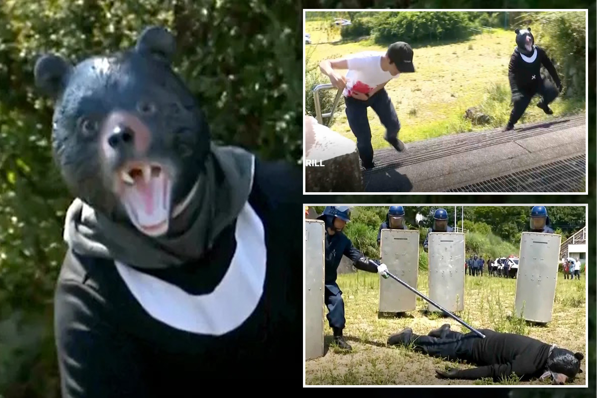 Police officials host ‘bear drills’ following string of bear attacks