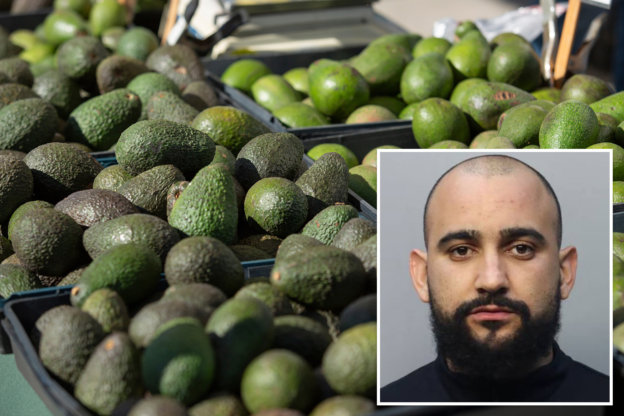 Florida man allegedly steals 400 kilos of avocados to purchase Christmas presents for kids