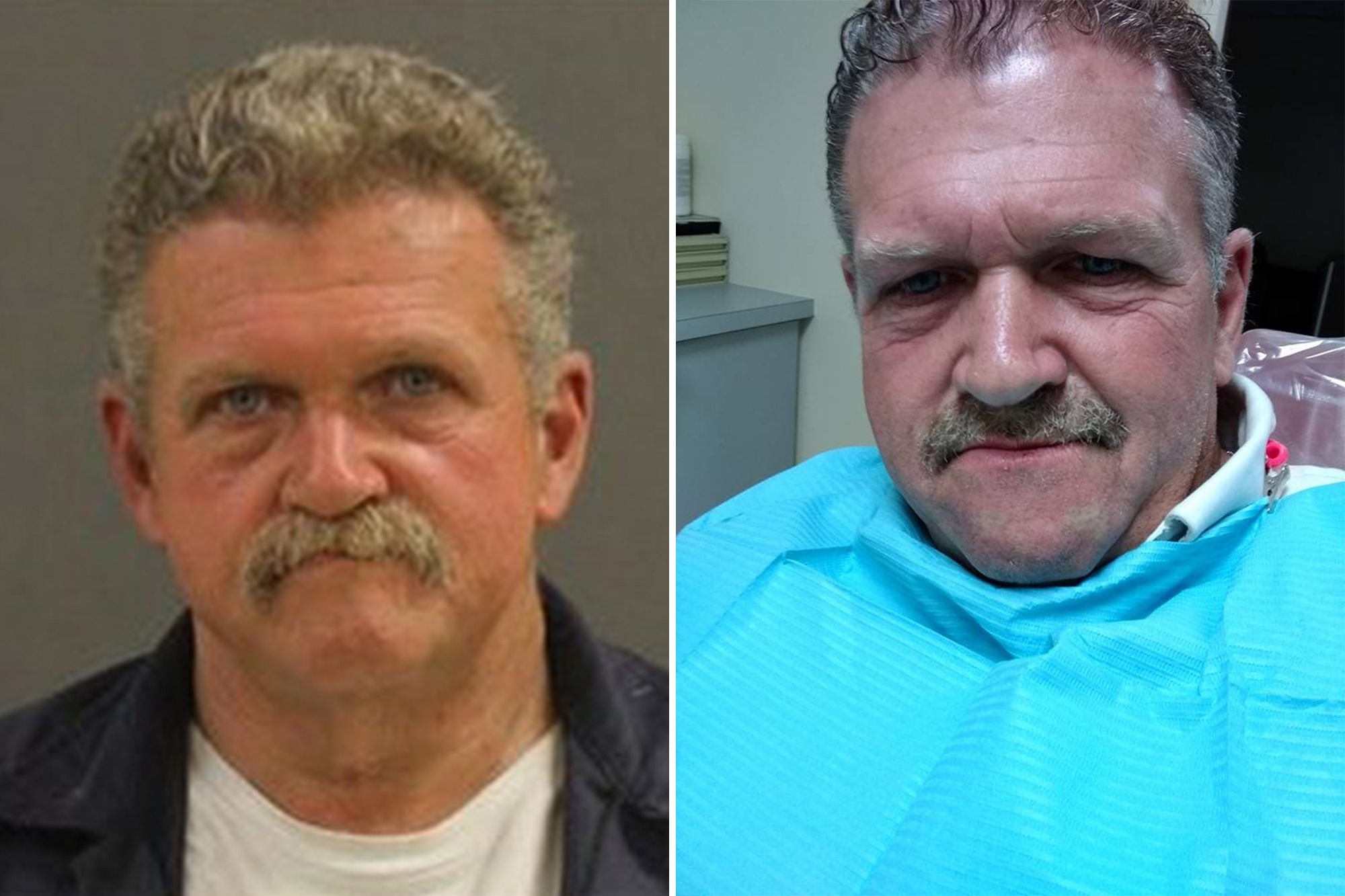 ‘Special place in hell’ for man accused of brutally killing pregnant dog: prosecutor