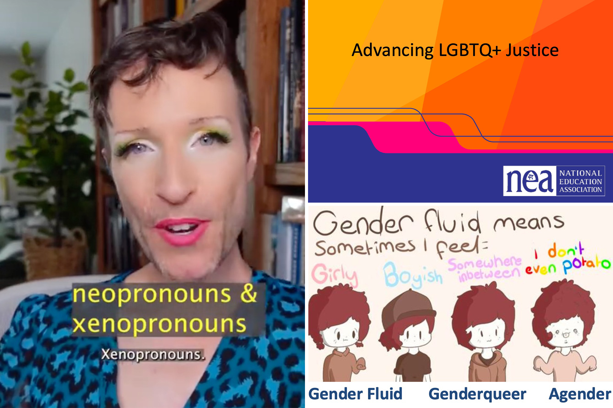 Exclusive | National Education Association instructs staff on ‘neopronouns,’ ‘xeopronouns’ and battling conservative ‘villains’